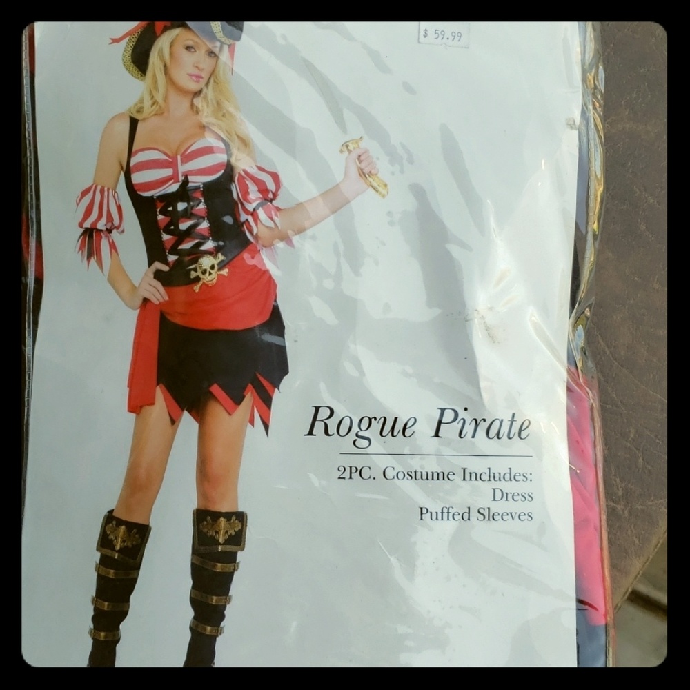 Rogue Pirate Halloween or just party costume.